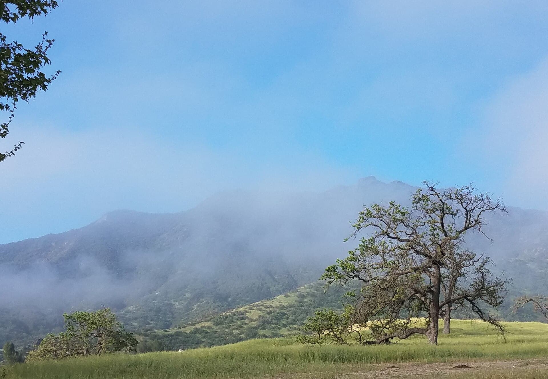 Morning fog settling over the hills of Agoura Hills