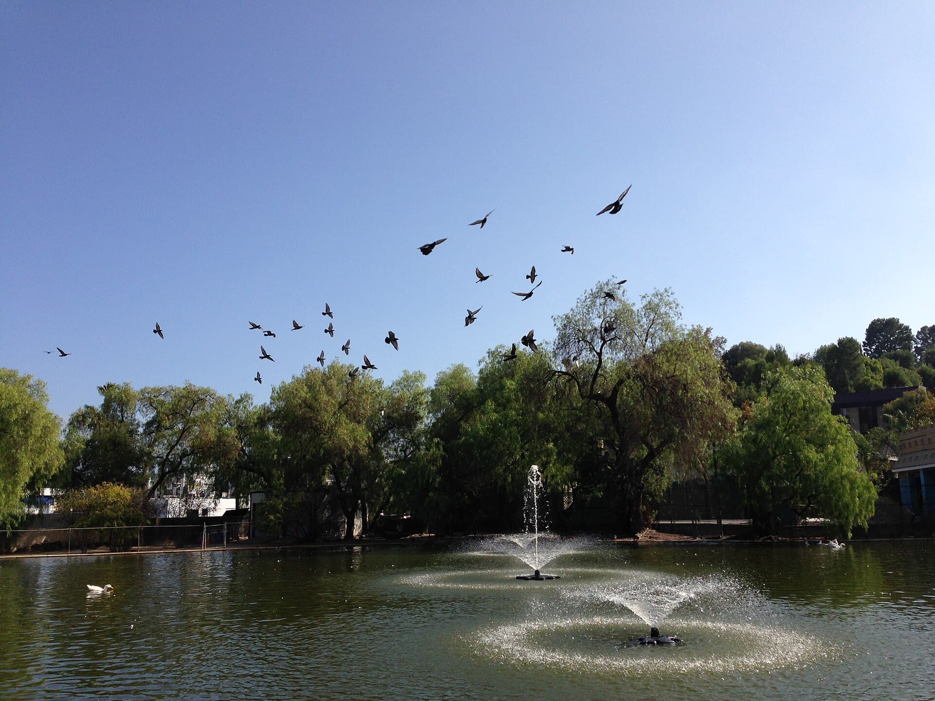 Fountain and gardens at Los Encinos State Historic Park in Encino