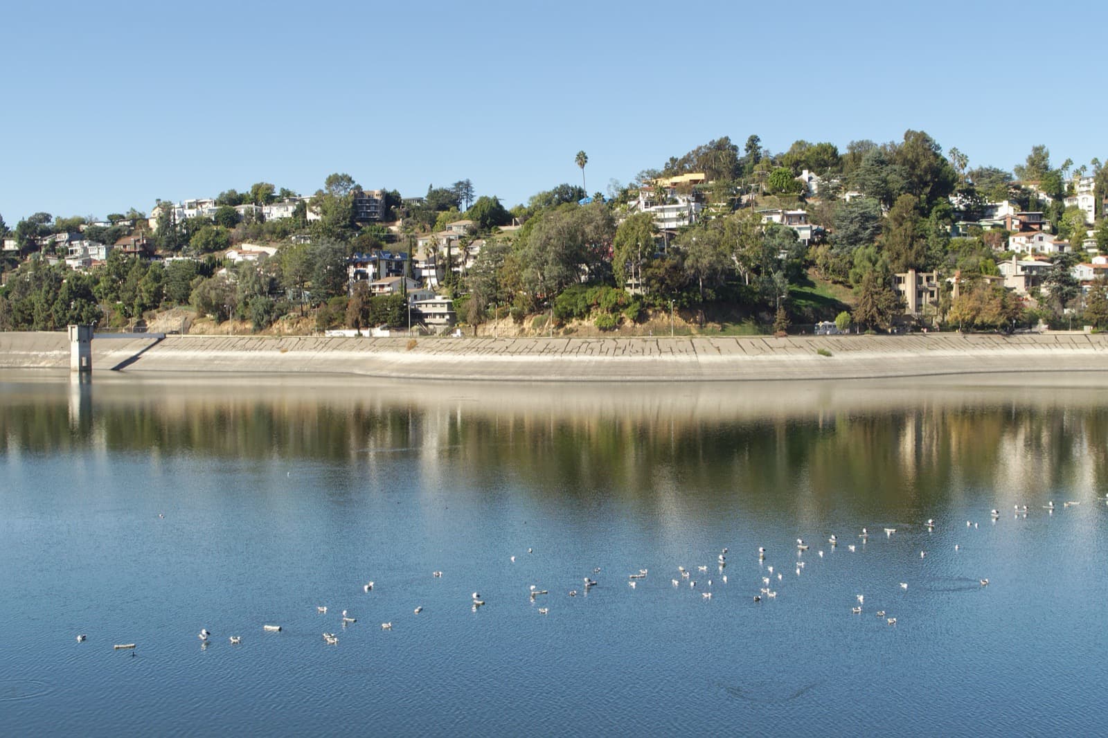 View west across the Silver Lake Reservoir with hillside homes rising beyond the water