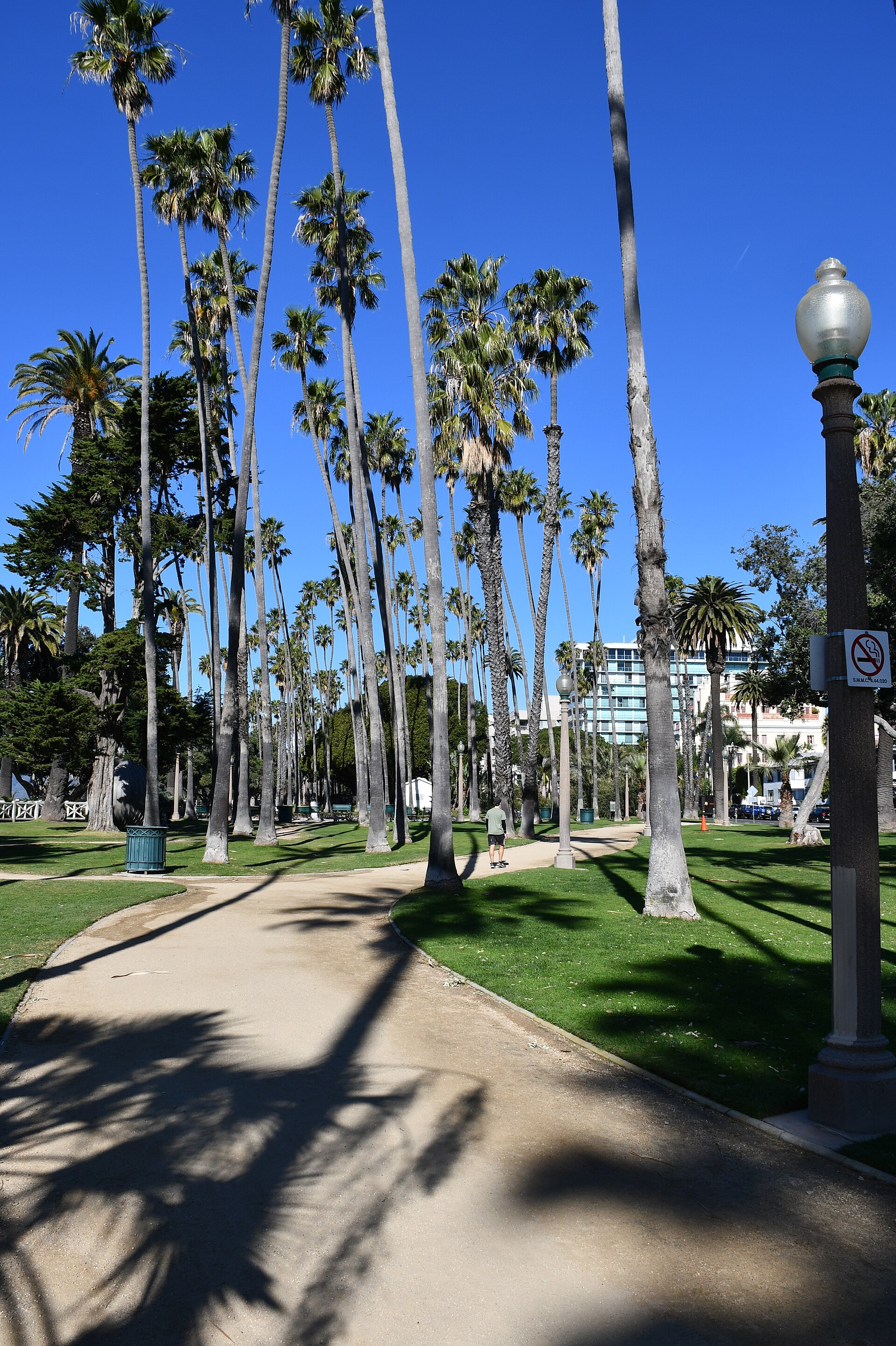Palm-lined walking path in Palisades Park above the Santa Monica coast