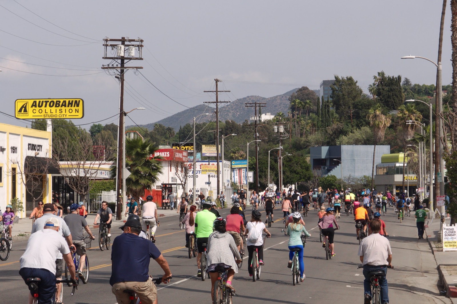 Looking east along Ventura Boulevard in Studio City, the neighborhood's main commercial spine